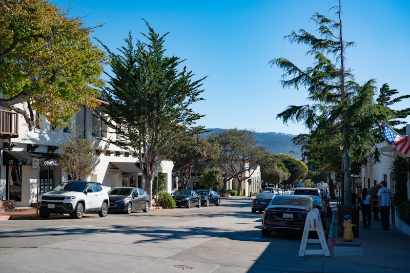 Tree-lined boulevard in Highland Park