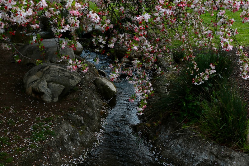 Descanso Gardens in La Ca&ntilde;ada Flintridge